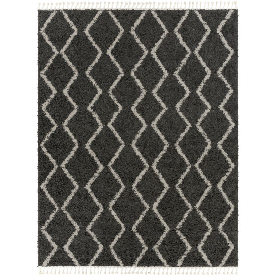 Surya Berber Shag Charcoal Rug 7'10" X 10'2"