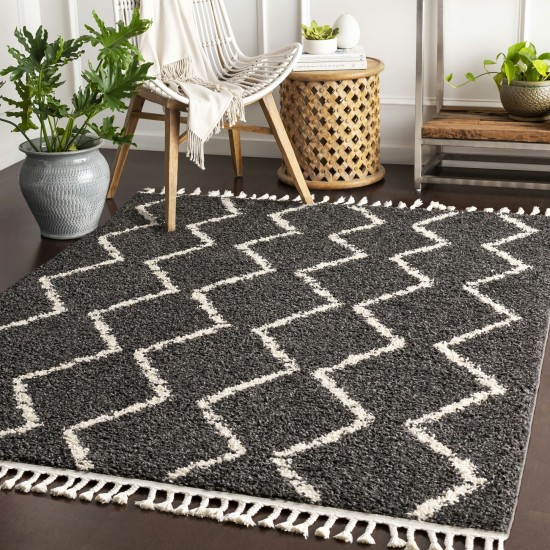 Surya Berber Shag Charcoal Rug 7'10" X 10'2"