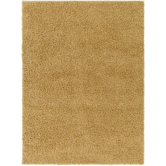 Surya Bliss Shag Tan Rug 5'3" X 7'