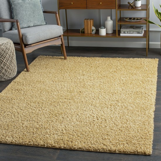 Surya Bliss Shag Tan Rug 5'3" X 7'