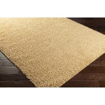 Surya Bliss Shag Tan Rug 5'3" X 7'