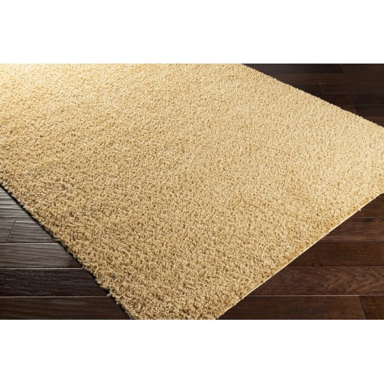 Surya Bliss Shag Tan Rug 5'3" X 7'