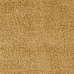 Surya Bliss Shag Tan Rug 5'3" X 7'