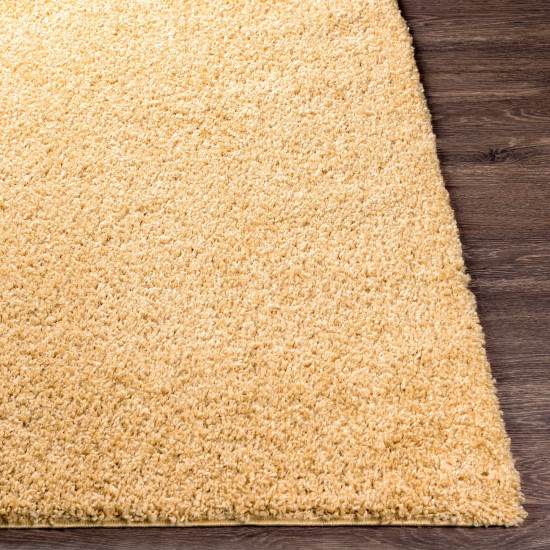 Surya Bliss Shag Tan Rug 5'3" X 7'