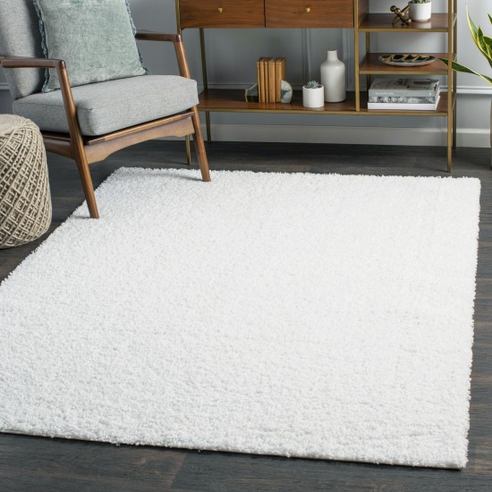 Surya Bliss Shag White Rug 8'10" X 12'