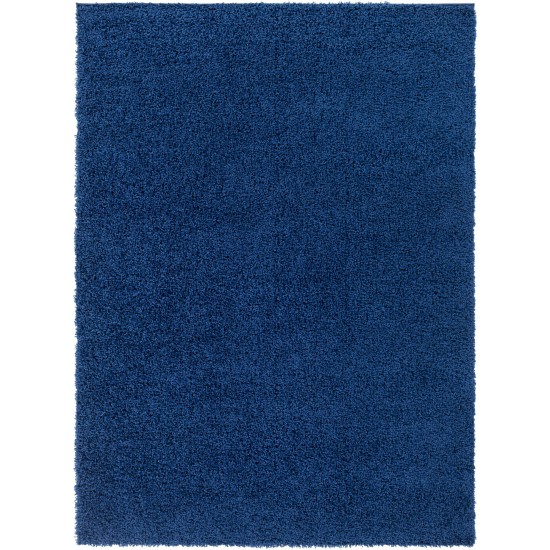 Surya Bliss Shag Dark Blue Rug 8'10" X 12'