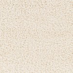 Surya Bliss Shag Cream Rug 7'10" X 10'