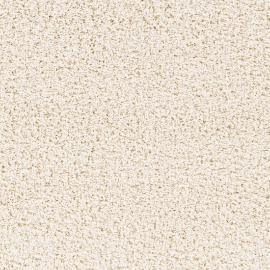 Surya Bliss Shag Cream Rug 7'10" X 10'