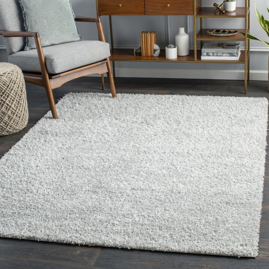 Surya Bliss Shag Light Gray Rug 8'10" X 12'