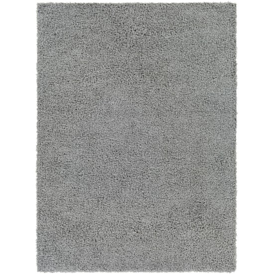 Surya Bliss Shag Gray Rug 5'3" X 7'