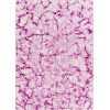 Surya Bohemia Lavender Rug 8' X 11'