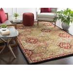 Surya Caesar Cae-1034 Brick Red Rug 9'9" Square