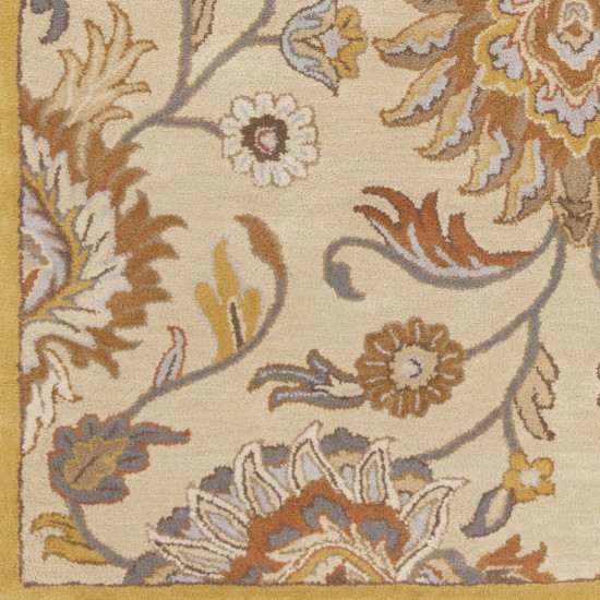 Surya Caesar Taupe Rug 9' X 12'