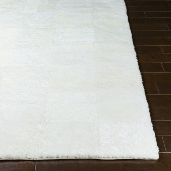 Surya Calidus Cream Rug 8' X 10'