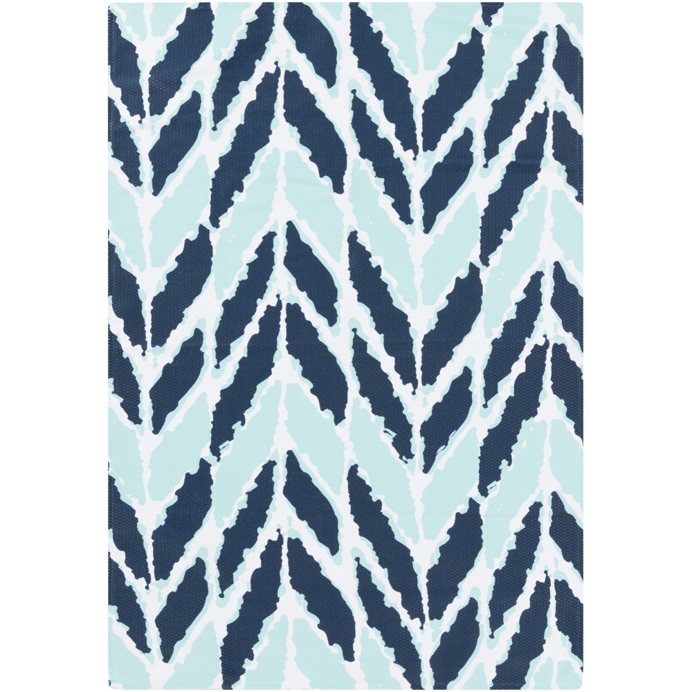 Surya Cape Cod Aqua Rug 2' X 3'