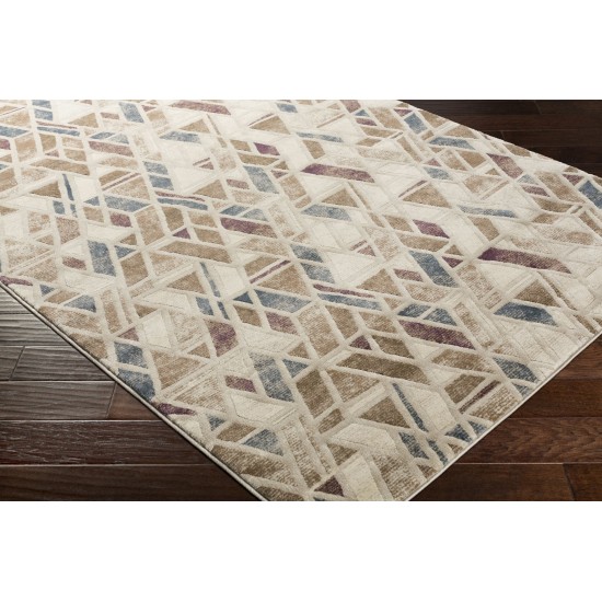 Surya Cash Hac-2301 Brown Rug 2' X 2'11"