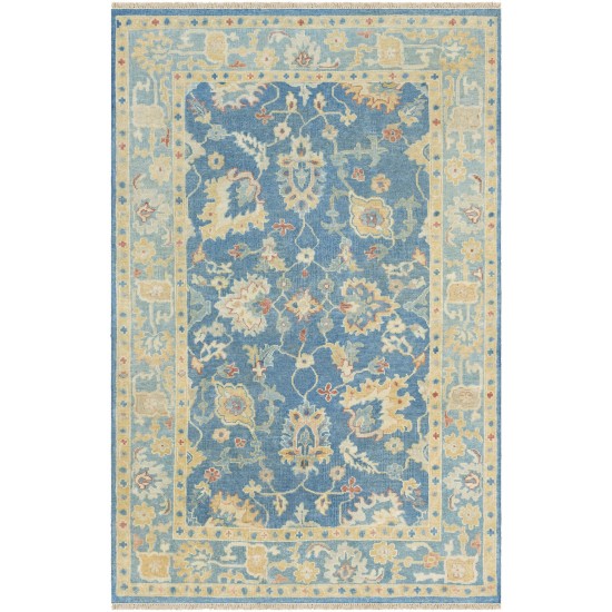 Surya Cheshire Sky Blue Rug 5'6" X 8'6"