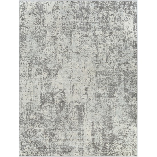 Surya Chester Che-2357 Gray Rug 7'10" X 10'3"