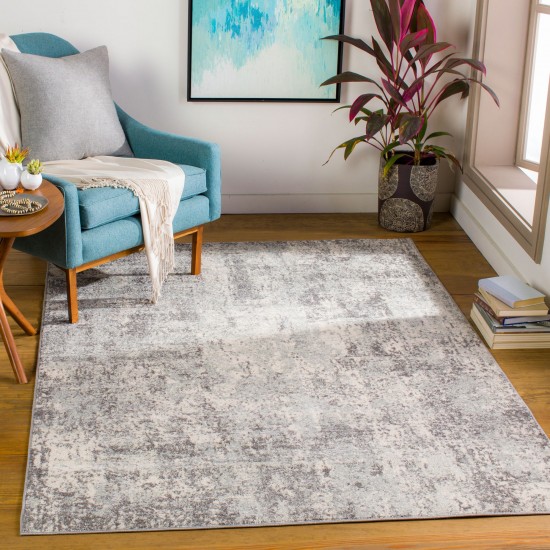 Surya Chester Che-2357 Gray Rug 7'10" X 10'3"