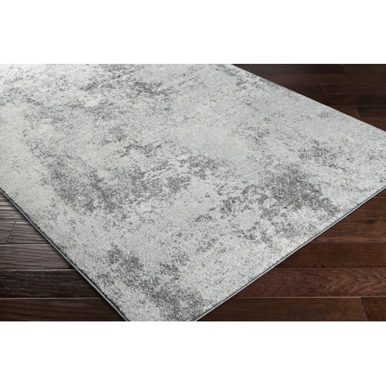 Surya Chester Che-2360 Light Gray Rug 6'7" X 9'