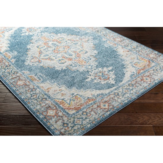 Surya Chester Teal Rug 5'3" X 7'3"