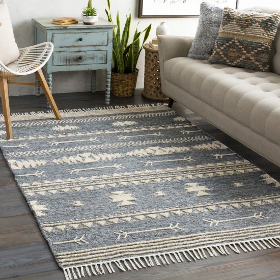 Surya Cheyenne Naturals Aqua Rug 2' X 3'