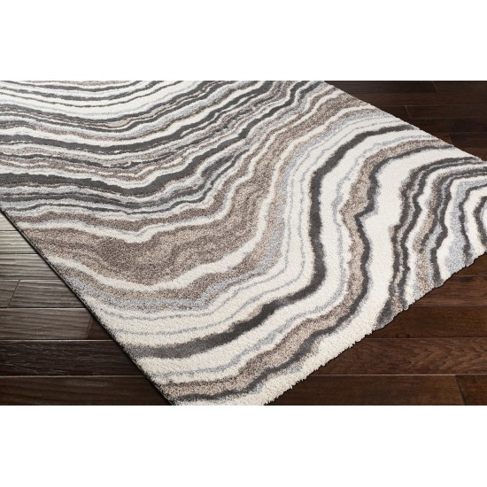 Surya Cielo Tan Rug 9' X 12'