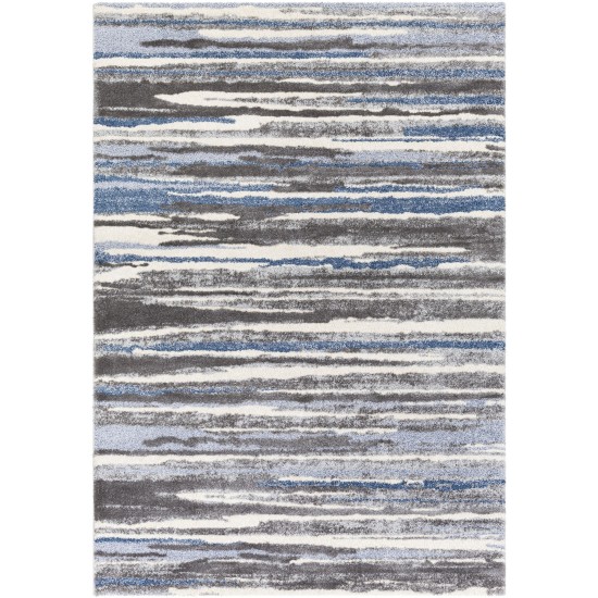 Surya Cielo Cel-2308 Charcoal Rug 2' X 3'