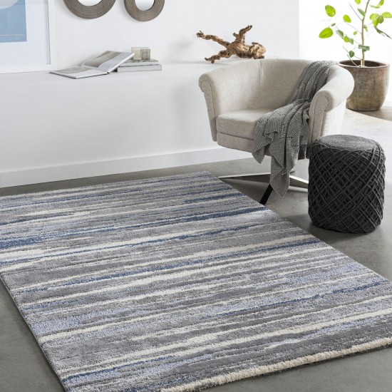 Surya Cielo Cel-2308 Charcoal Rug 2' X 3'