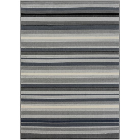 Surya City Cit-2312 Light Gray Rug 8'10" X 12'3"