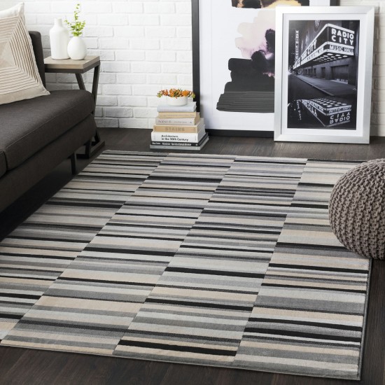 Surya City Cit-2327 Light Gray Rug 8'10" X 12'3"