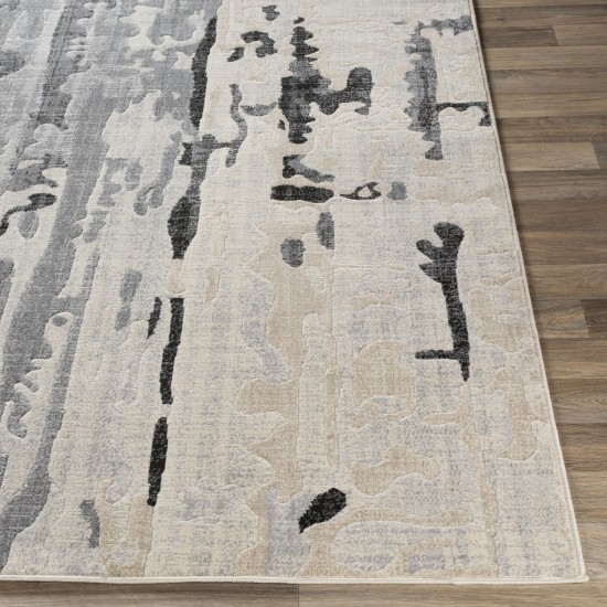 Surya City Cit-2383 Charcoal Rug 2' X 3'