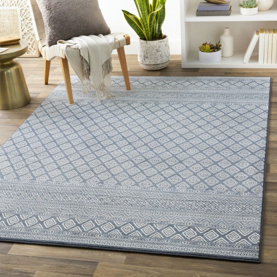 Surya Contempo Cpo-3846 Blue Rug 2'7" X 7'10"