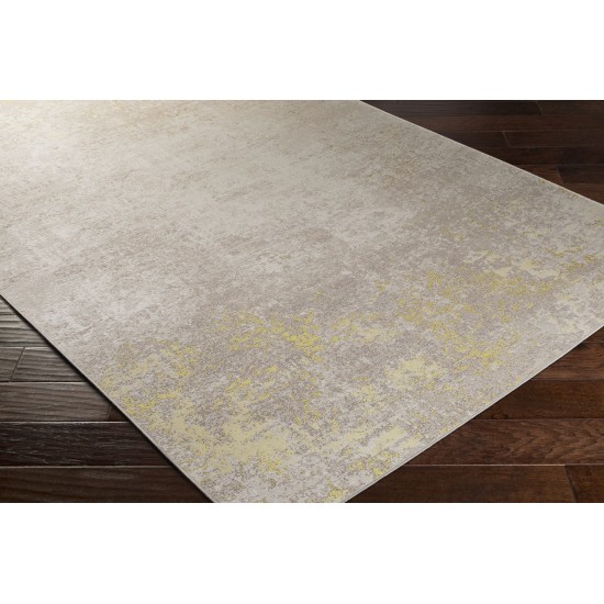 Surya Costa Mesa Yellow Rug 2'2" X 4'3"