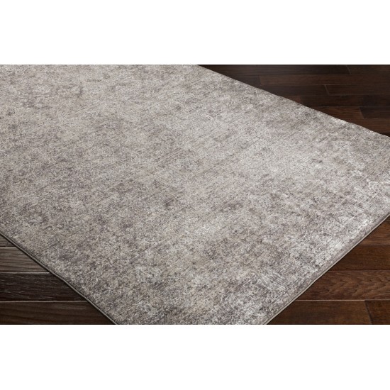 Surya Crescendo Light Brown Rug 2' X 3'3"