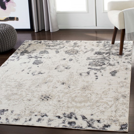 Surya Crescendo Light Beige Rug 2' X 3'3"