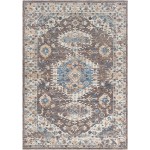 Surya Daytona Beach Brown Rug 8'10" X 12'