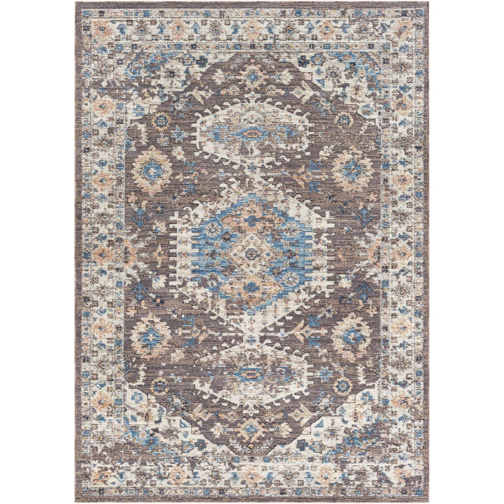 Surya Daytona Beach Brown Rug 8'10" X 12'