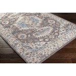 Surya Daytona Beach Brown Rug 8'10" X 12'