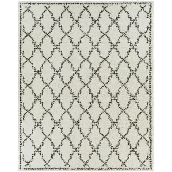 Surya Deluxe Shag Dxs-2306 Cream Rug 7'10" X 10'3"