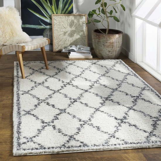 Surya Deluxe Shag Dxs-2306 Cream Rug 7'10" X 10'3"