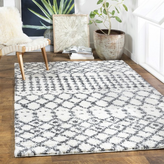 Surya Deluxe Shag Dxs-2314 Cream Rug 5'3" X 7'3"