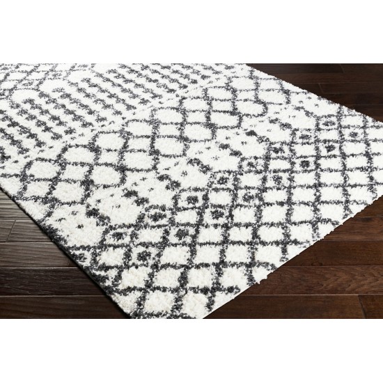 Surya Deluxe Shag Dxs-2316 Cream Rug 5'3" X 7'3"