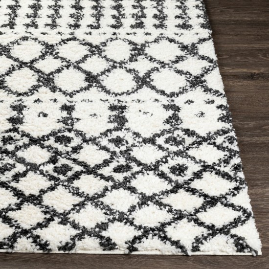 Surya Deluxe Shag Dxs-2316 Cream Rug 5'3" X 7'3"