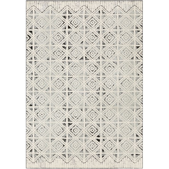 Surya Dersim Light Gray Rug 2' X 3'