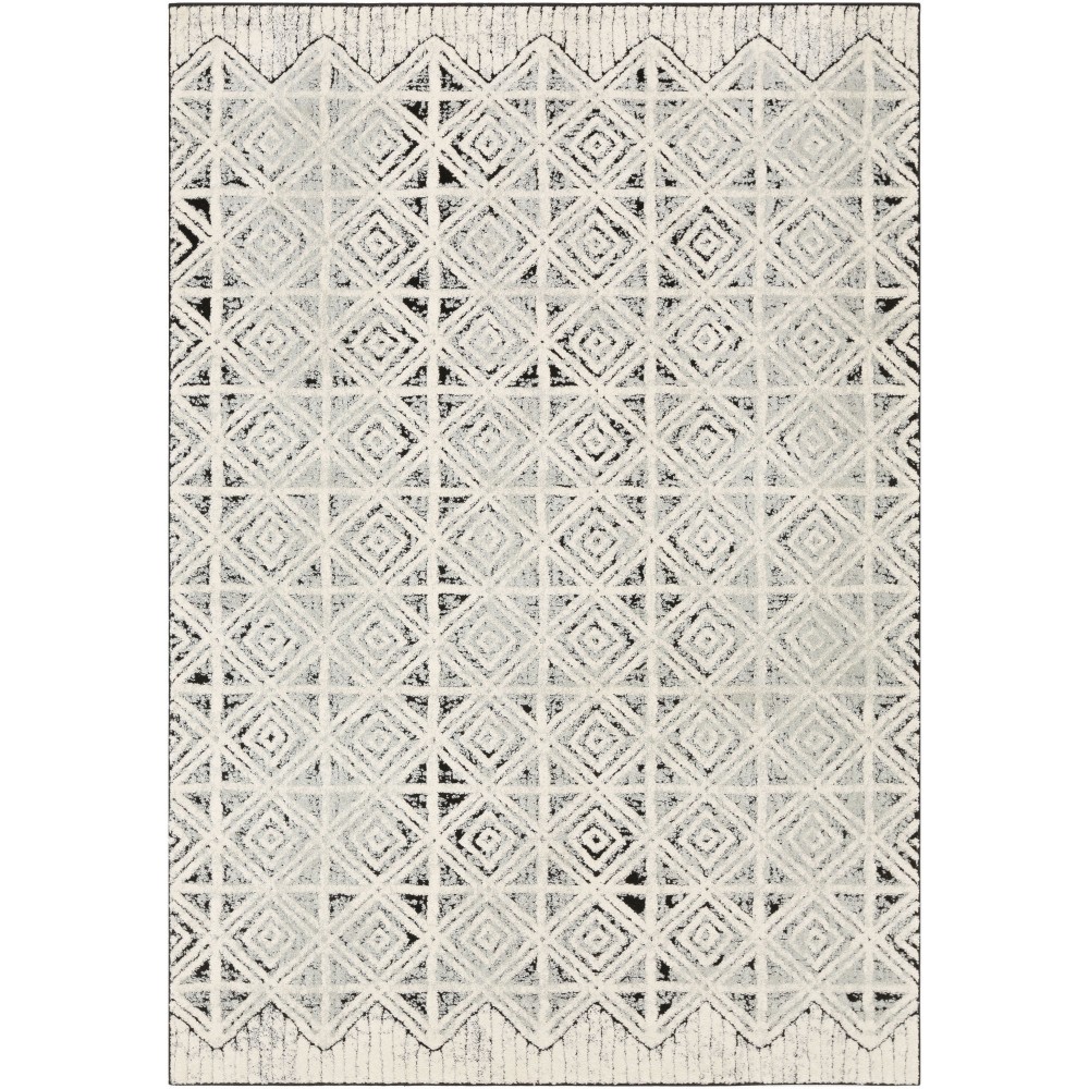 Surya Dersim Light Gray Rug 2' X 3'