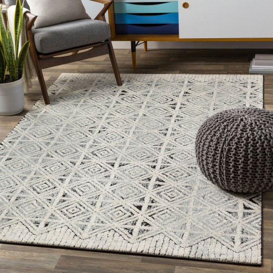 Surya Dersim Light Gray Rug 2' X 3'