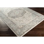 Surya Dryden Pale Blue Rug 9' X 12'