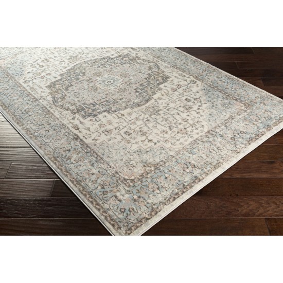 Surya Dryden Pale Blue Rug 9' X 12'