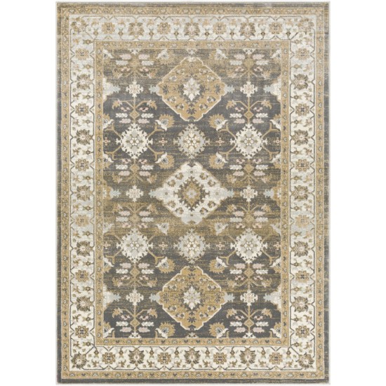 Surya Dryden Charcoal Rug 9' X 12'